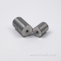 Quality Tungsten Carbide Cold Heading/Stamping Die